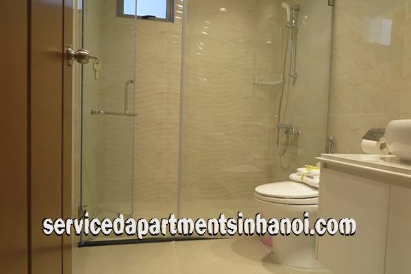 Cho thuê căn hộ hiện đại diện tích 120m2 tại Vinhomes 56 Nguyễn Chí Thanh - Hà Nội 1
