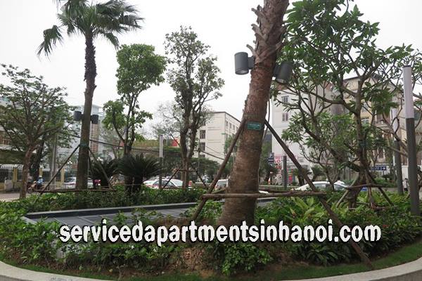 Cho thuê căn hộ hiện đại diện tích 120m2 tại Vinhomes 56 Nguyễn Chí Thanh - Hà Nội 4