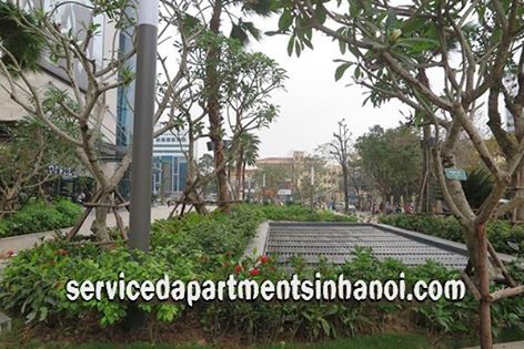 Cho thuê căn hộ hiện đại diện tích 120m2 tại Vinhomes 56 Nguyễn Chí Thanh - Hà Nội 8