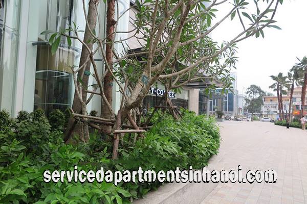 Cho thuê căn hộ hiện đại diện tích 120m2 tại Vinhomes 56 Nguyễn Chí Thanh - Hà Nội 1