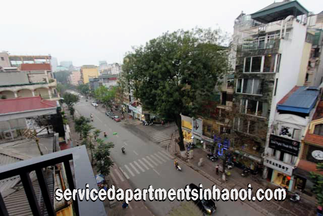 Cho thuê căn hộ dịch vụ hoàn toàn mới 1 phòng ngủ tại phố Huế, quận Hai Bà Trưng, tiện nghi chất lượng cao 1