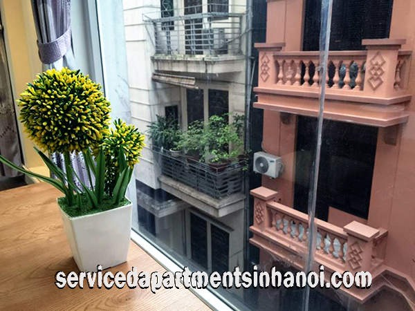 Cho thuê căn hộ dịch vụ 1 phòng ngủ tại Văn Cao, Ba Đình,Hà Nội 4