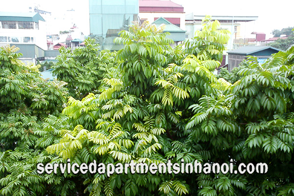 Căn hộ giá cực rẻ gần khu vực Trúc Bạch 9