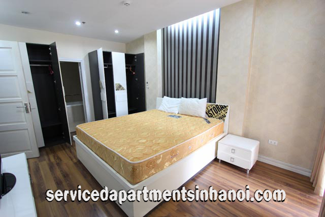 Cho thuê căn hộ dịch vụ hiện đại 2 phòng ngủ tại Ngô Thì Nhậm,quận Hai Bà Trưng 7