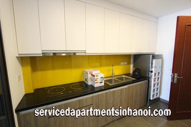 Cho thuê căn hộ dịch vụ hiện đại 1 ngủ đường Triệu Việt Vương, Hai Bà Trưng 1