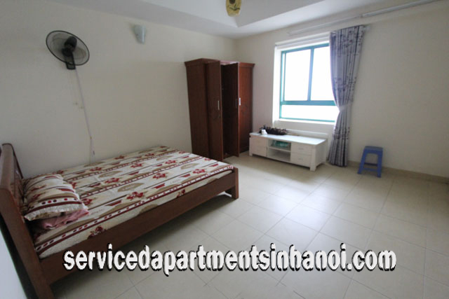 Căn hộ 2 phòng ngủ cho thuê tại Lò Đúc, quận Hai Bà Trưng 4