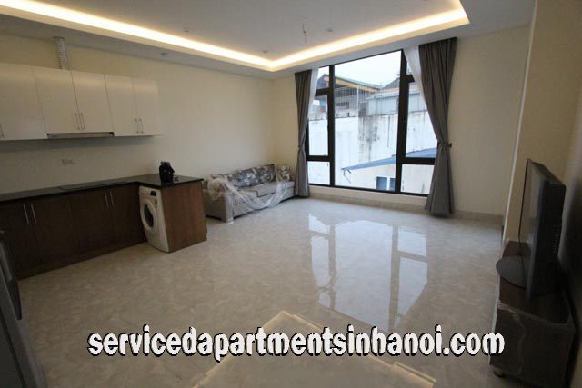 Căn hộ mới 2 phòng ngủ hướng hồ cạnh Công viên Thống Nhất, Đống Đa 1