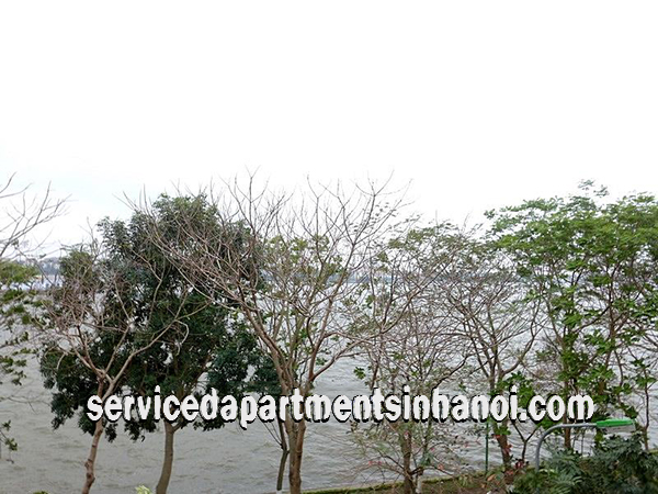 Cho thuê căn hộ dịch vụ 1 phòng ngủ trên phố Nhật Chiêu, quận Tây Hồ 2