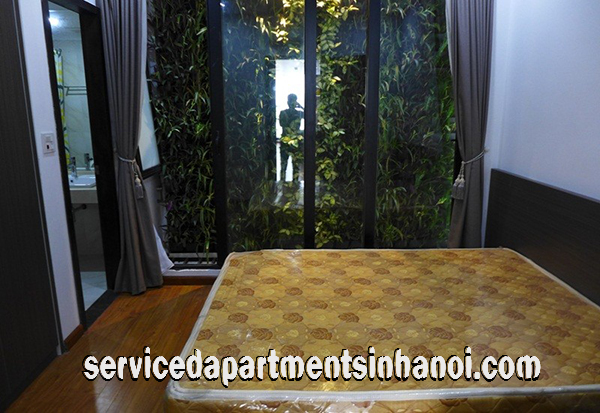 Căn hộ dịch vụ hoàn toàn mới 2 phòng ngủ cho thuê trên phố Đặng Thai Mai, Tây Hồ 10
