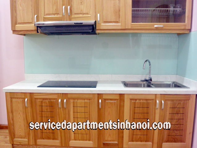 Căn hộ dịch vụ hoàn toàn mới 1 phòng ngủ cho thuê trên phố Đội Cấn, quận Ba Đình 4