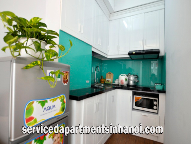Cho thuê căn hộ Studio hoàn toàn mới tại đường Trung Kính, quận Cầu Giấy 9