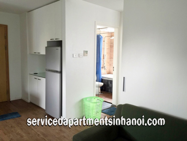 Cho thuê căn hộ dịch vụ 1 phòng ngủ trên phố Triệu Việt Vương, quận Hai Bà Trưng 5