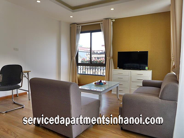 Căn hộ dịch vụ hoàn toàn mới 1 phòng ngủ cho thuê tại quận Hai Bà Trưng 2