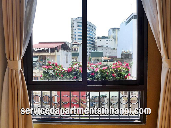 Cho thuê căn hộ dịch vụ 1 phòng ngủ hoàn toàn mới tại quận Hai Bà Trưng 8