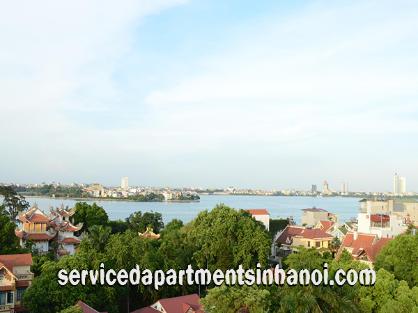Cho thuê căn hộ dịch vụ hoàn toàn mới 1 phòng ngủ tại đường Trích Sài, quận Tây Hồ 2