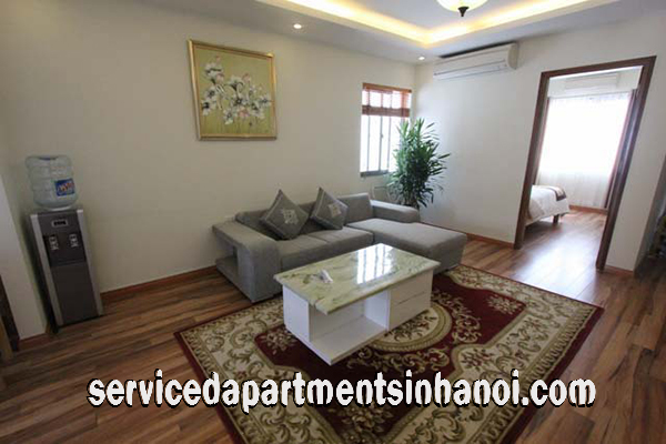 Cho thuê căn hộ mới hai phòng ngủ ở quận Hai Bà Trưng, Gần Vincom 2