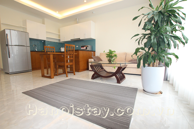 Cho thuê căn hộ hiện đại 2 phòng ngủ hồ Ba Mẫu, Đống Đa 3