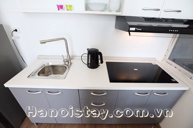 Cho thuê căn hộ hiện đại 1 phòng ngủ Tây Hồ 5