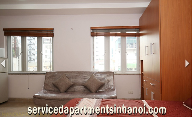 Cho thuê căn hộ 1 phòng ngủ gần Nhà Hát Hoàn Kiếm 2