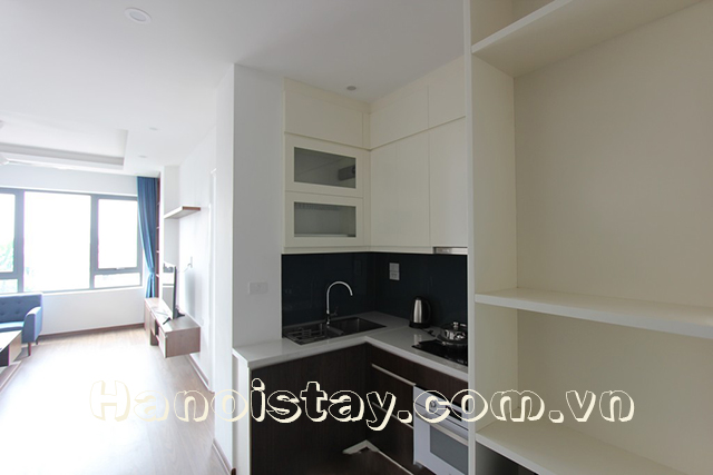 Cho thuê căn hộ cao cấp mới và đẹp tại đường Tô Ngọc Vân, Tây Hồ 4