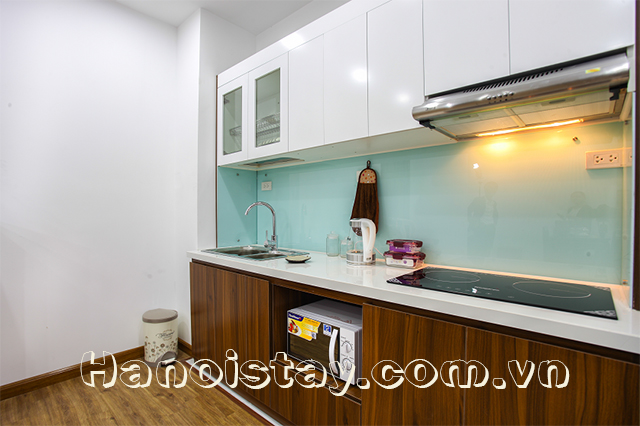 Cho thuê căn hộ dịch vụ 1 phòng ngủ tại phố Phan Kế Bính, Ba Đình 9
