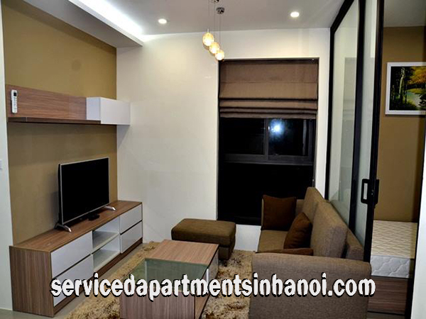 Cho thuê căn hộ 2 phòng ngủ gần trường Đại Học Bách Khoa, Hai Bà Trưng 1