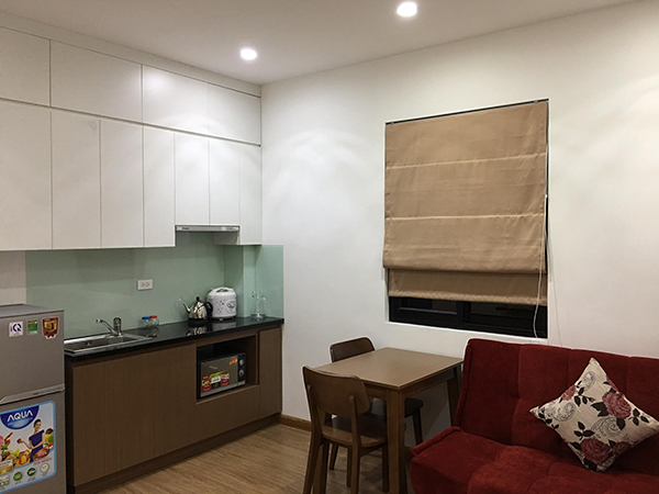 Cho thuê thuê căn hộ 1 phòng ngủ phố Trần Duy Hưng, Cầu Giấy 4