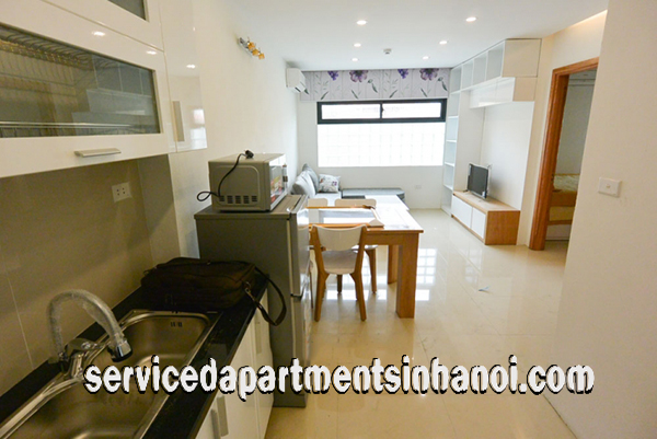 Cho thuê căn hộ 1 phòng ngủ mới gần Syrena Shopping center, Tây Hồ 2