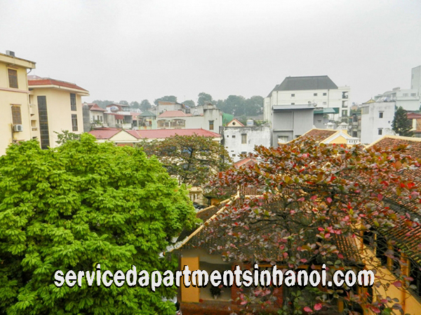Cho thuê căn hộ thiết kế độc đáo 1 phòng ngủ tại Trần Phú, Ba Đình 3