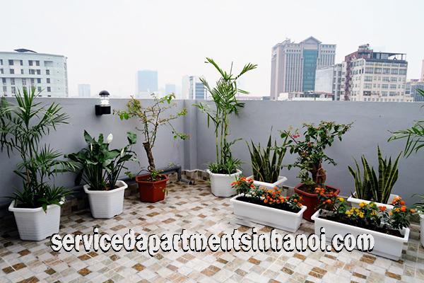Cho thuê căn hộ 1 phòng ngủ hiện đại gần hồ Hoàng Cầu 5