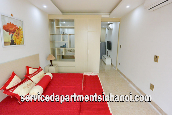 Cho thuê căn hộ 1 phòng ngủ mới, hiện đại gần Công Viên Nước 1