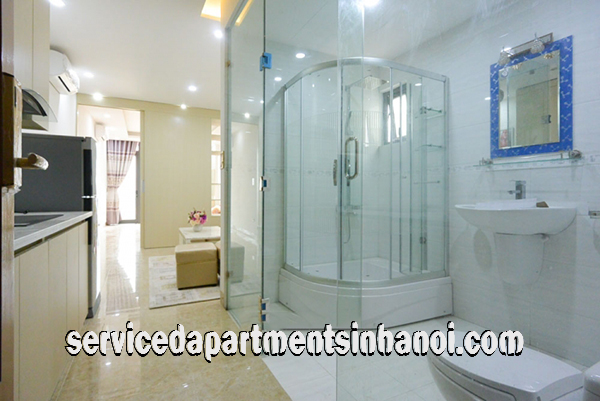 Cho thuê căn hộ 1 phòng ngủ mới, hiện đại gần Công Viên Nước 10