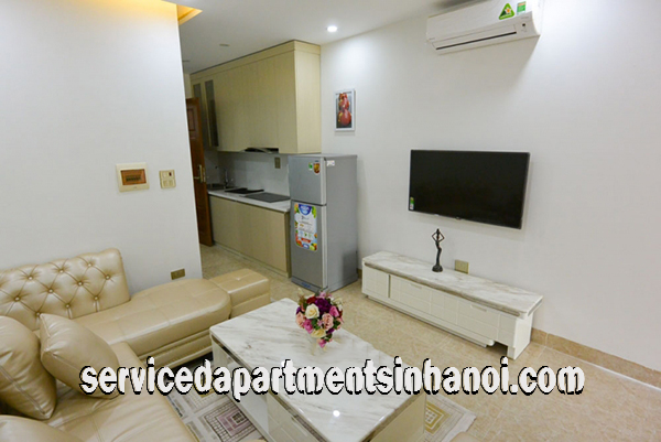 Cho thuê căn hộ 1 phòng ngủ mới, hiện đại gần Công Viên Nước 6
