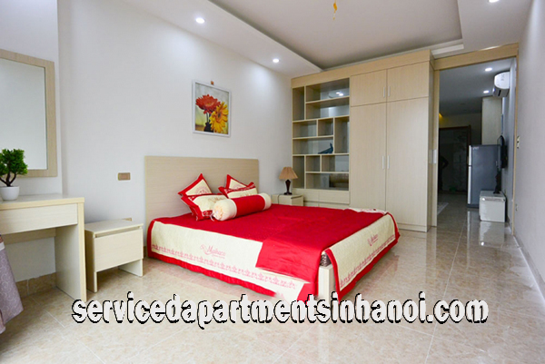 Cho thuê căn hộ 1 phòng ngủ mới, hiện đại gần Công Viên Nước 9
