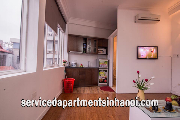 Cho thuê căn hộ 1 phòng ngủ mới cải tạo khu vực hồ Trúc Bạch 10