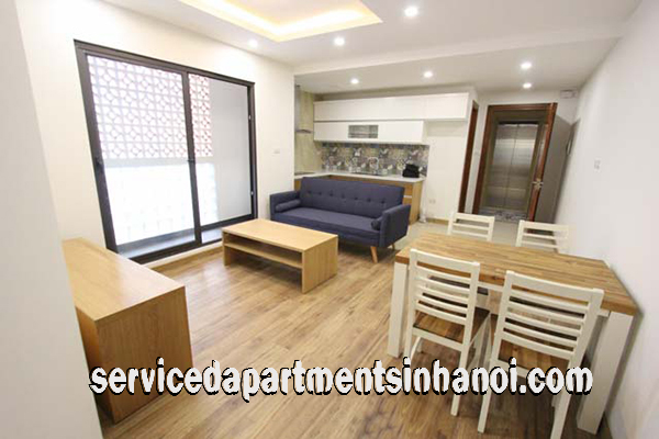 Cho thuê căn hộ mới 2 phòng ngủ phố Trần Quốc Toản, Hoàn Kiếm