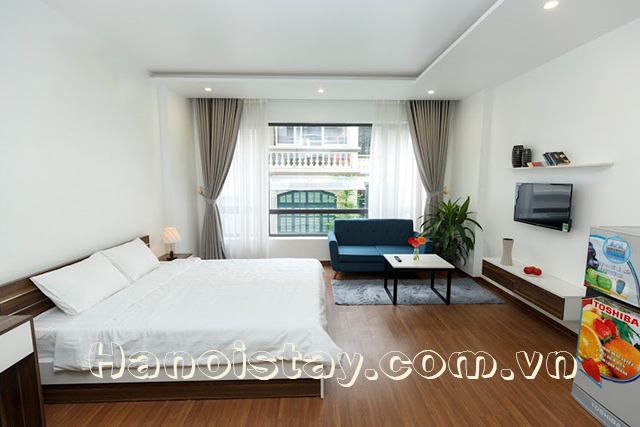 Cho thuê căn hộ 1 phòng ngủ hiện đại cạnh Trần Thái Tông, Cầu Giấy