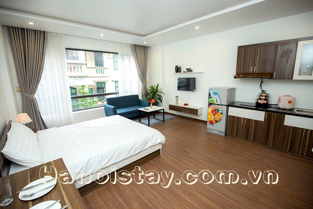 Cho thuê căn hộ 1 phòng ngủ hiện đại cạnh Trần Thái Tông, Cầu Giấy 4