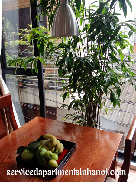 Cho thuê căn hộ 1 phòng ngủ gần Hồ Hai Bà quận Hai Bà Trưng 6