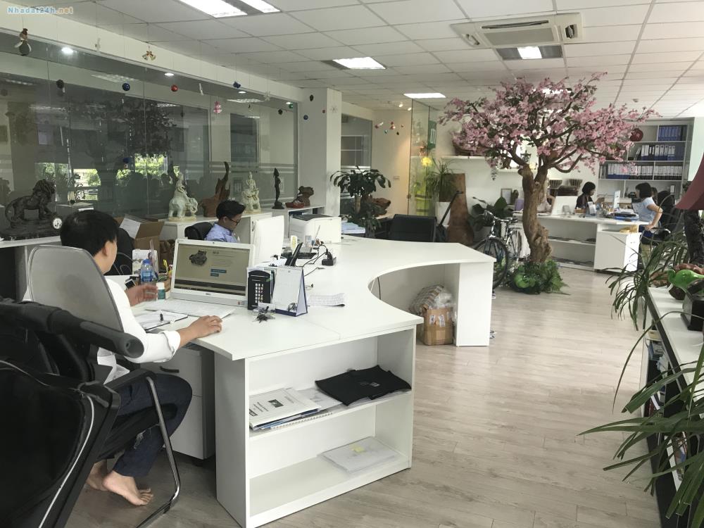 Cho thuê văn phòng tầng 5, Khu A, Tòa nhà Hà Nội Toserco giá phải chăng 3