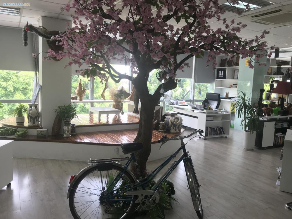 Cho thuê văn phòng tầng 5, Khu A, Tòa nhà Hà Nội Toserco giá phải chăng 5