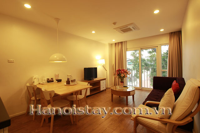 Cho thuê căn hộ cao cấp tại phố Triệu Việt Vương, Hai Bà Trưng 2