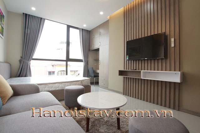 Cho thuê căn hộ 1 phòng ngủ gần Đại học Bách Khoa tại Lê Thanh Nghị, Hai Bà Trưng 3