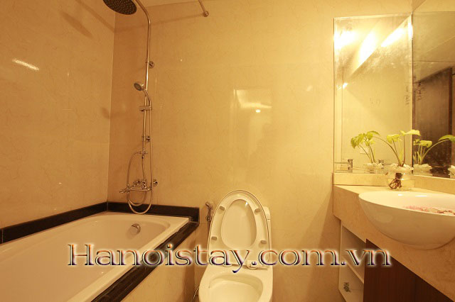 Sở hữu ngay căn hộ cao cấp 1 ngủ cho người Nhật thuê có sân thượng cạnh Pacific Place, Hoàn Kiếm 5