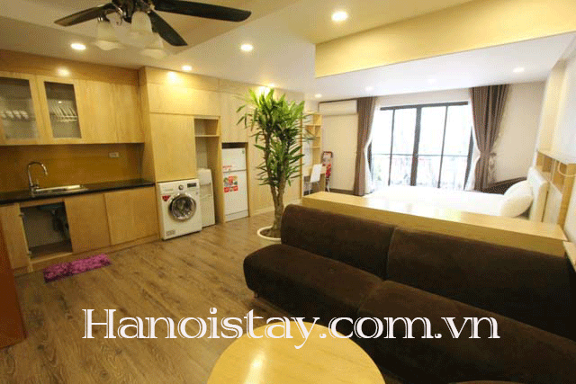 Cho thuê căn hộ dịch vụ 1 phòng ngủ hiện đại cạnh chợ Đồng Xuân quận Hoàn Kiếm
