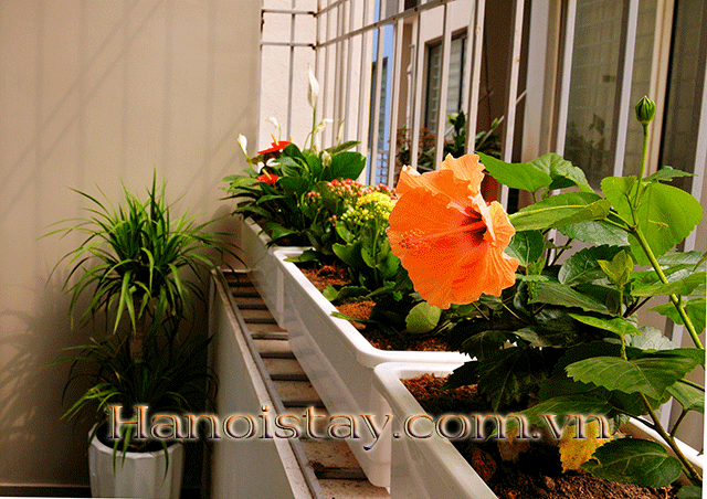 Cho thuê căn hộ dịch vụ đầy đủ nội thất, giá rẻ gần Indochina, Cầu Giấy 8