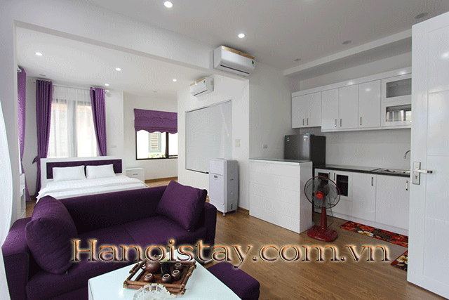 Cho thuê căn hộ đẹp, nội thất sang trọng tại phố Xuân Diệu, Tây Hồ 3