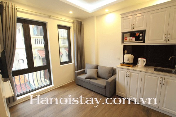 Studio 40m2, nhiều ánh sáng cho thuê khu vực Đội Cấn, Ba Đình 4