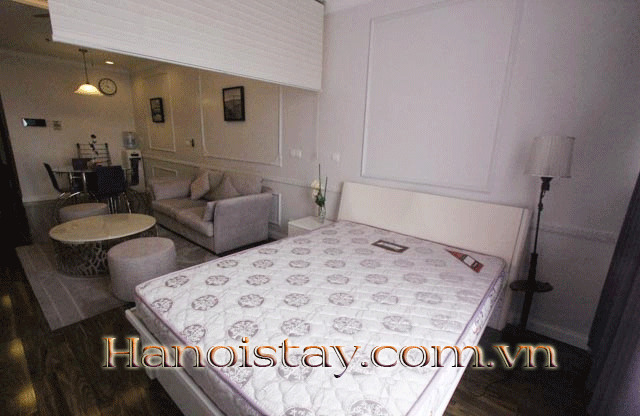 Chính chủ cho thuê căn hộ đầy đủ đồ sang trọng tại Sun Grand City Thụy Khuê Residence 7