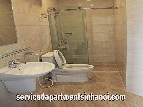 Căn hộ dịch vụ 1 phòng ngủ rất rộng và nội thất đẹp cho thuê tại trung tâm quận Hai Bà Trưng 8